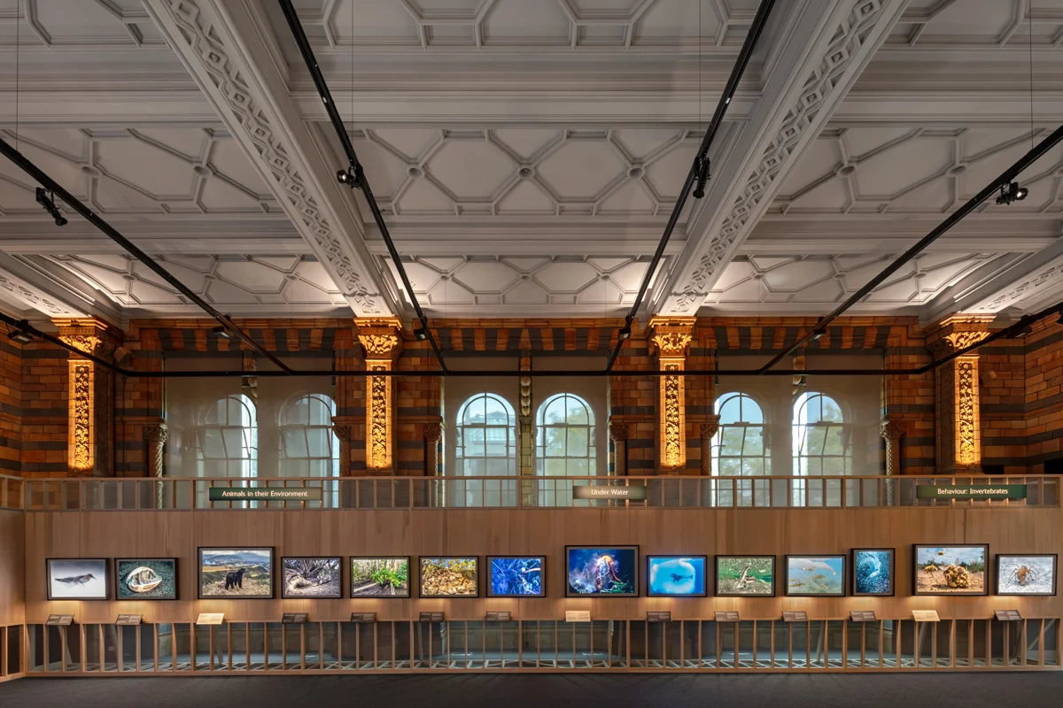 Gallery One thirty spotlight Mains Track Linear Graze Photography Credit Andrew Beasley